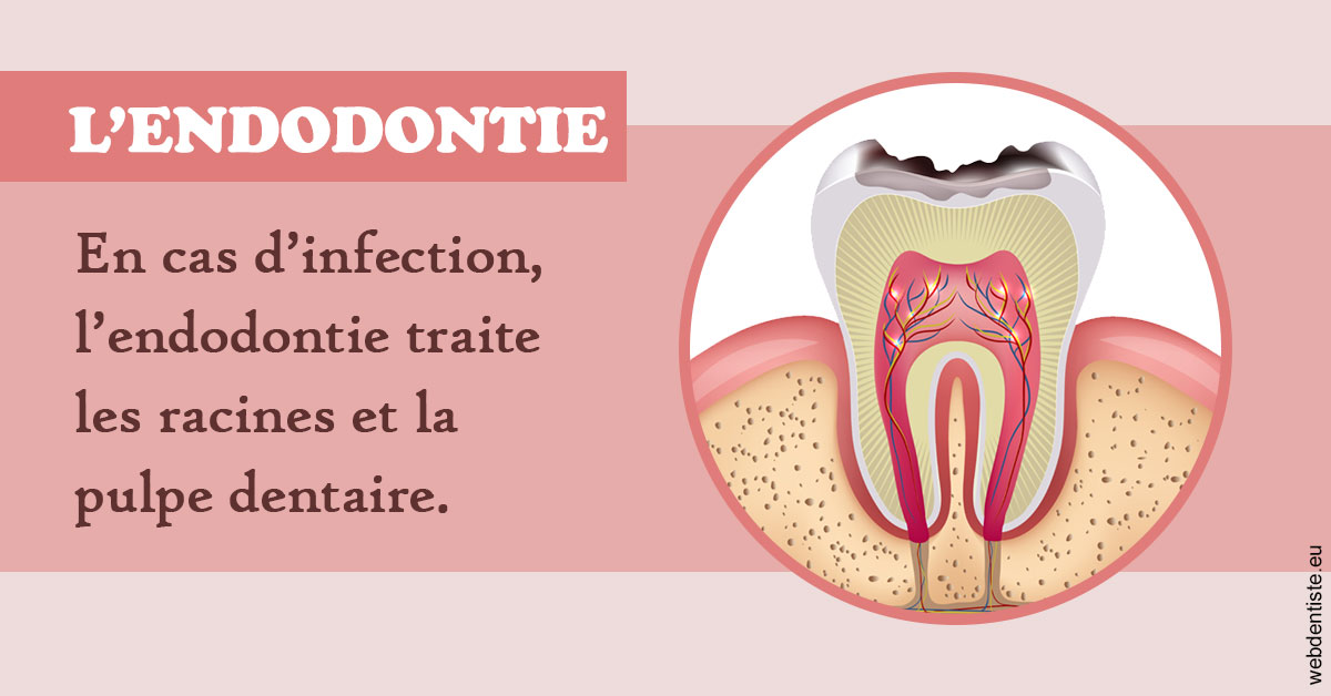 https://www.cbsorthodontie.lu/L'endodontie 2